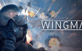 僚机计划/Project Wingman